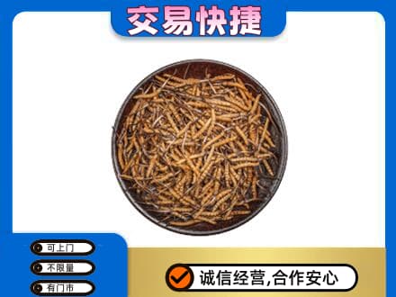 大兴安岭呼玛礼品回收虫草.jpg